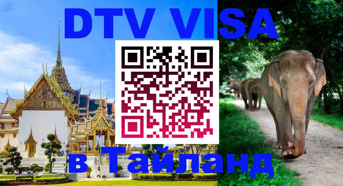 Оформление DTV визы под ключ: стоимость и тарифы, только загранпаспорт - 